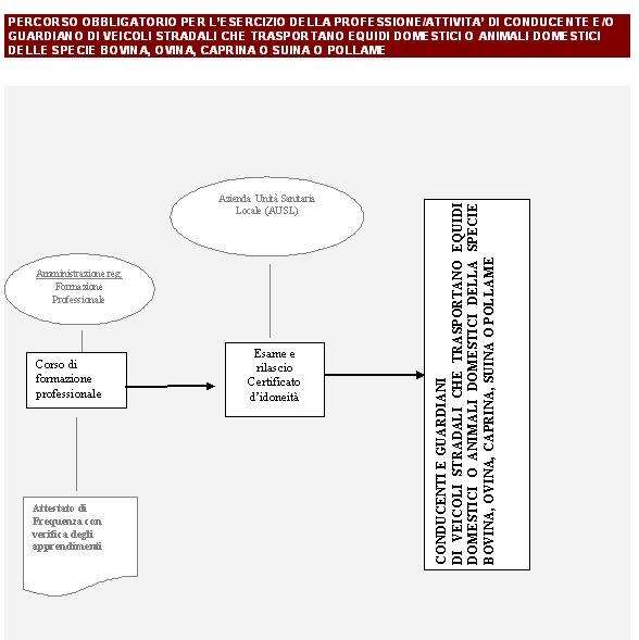 Percorso per l'esercizio della professione di Conducenti e guardiani di veicoli stradali che trasportano equidi domestici o animali domestici della specie bovina, ovina, caprina, suina o pollame