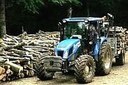 Operatore forestale