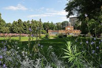 Professione Giardiniere d’arte per aree verdi e parchi storici