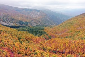 Montagna, continuare a investire per contrastare lo spopolamento e generare nuovi processi di sviluppo sostenibile