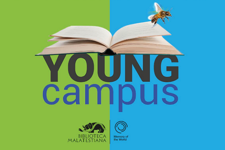 A Cesena torna lo Young Campus: un’opportunità per crescere e connettersi